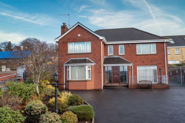 Thumbnail Detached house for sale in Windsor Hill, Newry