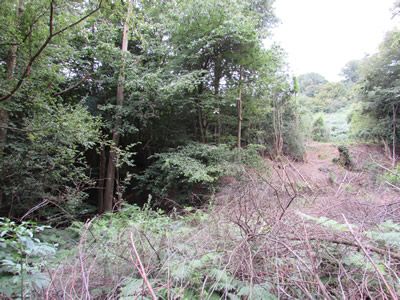Land for sale in Dale Hill, Wadhurst Hurst Green