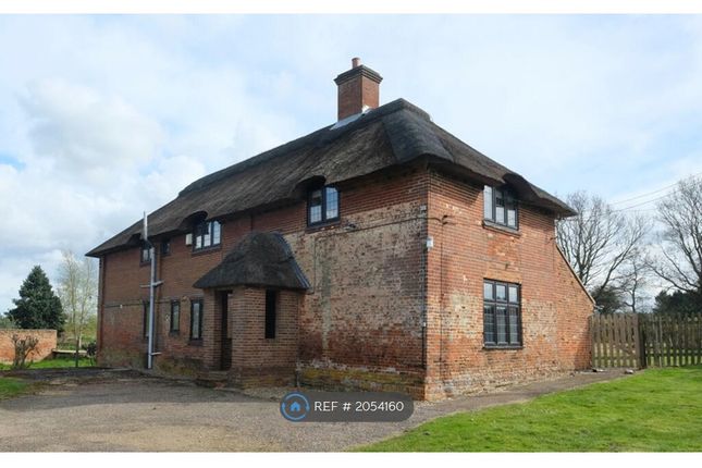 Thumbnail Detached house to rent in Farm Lane, Norwich
