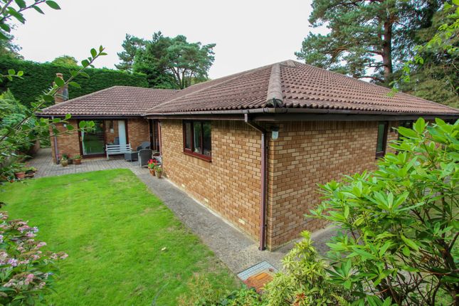 Thumbnail Bungalow for sale in Hawkins Lane, West Hill, Ottery St. Mary