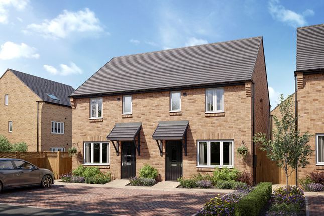 Semi-detached house for sale in "Ellerton" at Burdock Street, Priors Hall Park, Corby