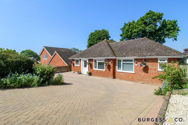 Detached bungalow for sale in Fryatts Way, Bexhill-On-Sea