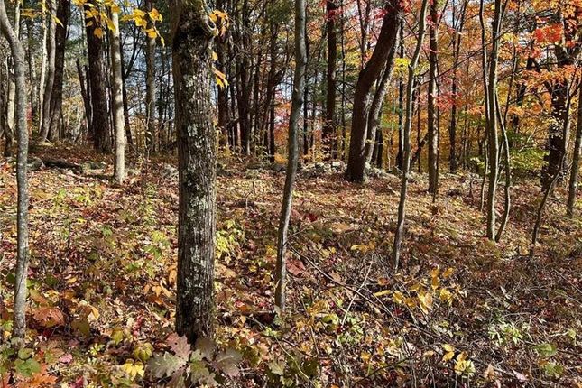 Thumbnail Land for sale in 1 W Hill Road, Austerlitz, New York, United States Of America