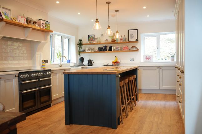 Glas Y Dorlan, Goitre Road, Aberaeron photo 4