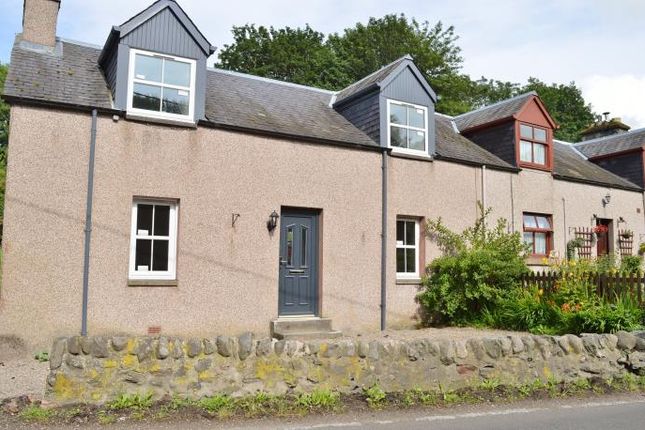 Thumbnail Cottage to rent in Balmoral Road, Rattray, Blairgowrie