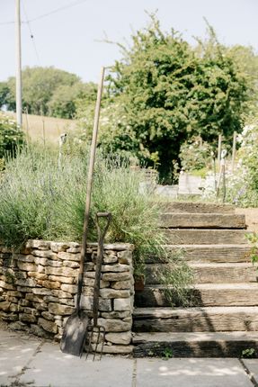 132026 - Mfox9189.Jpg