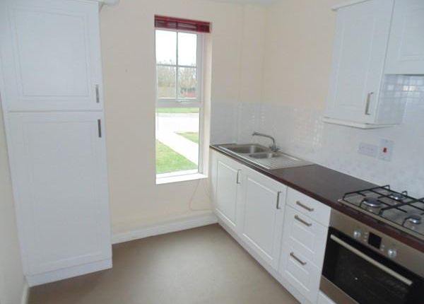 2 bed flat to rent in Crome Road, Norwich NR3