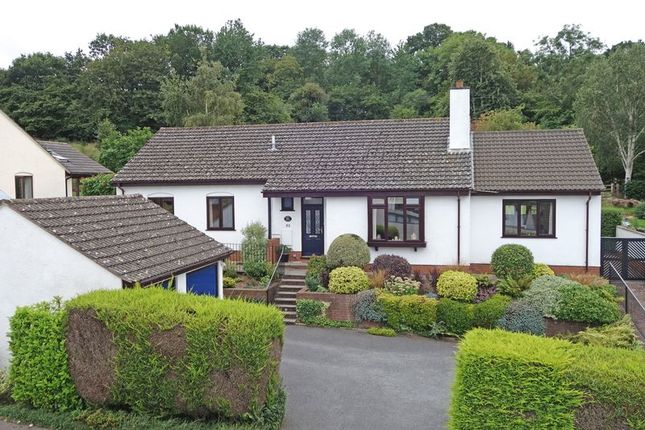 Homes For Sale In Colyton Buy Property In Colyton Primelocation