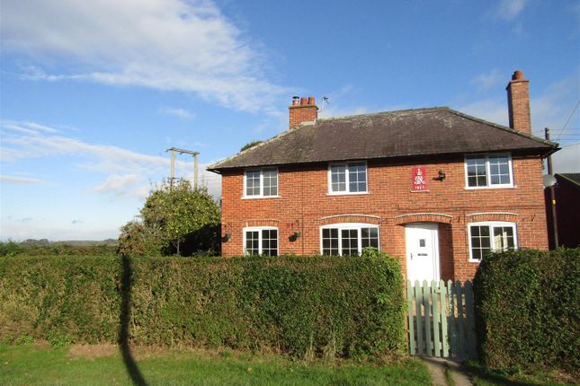 Thumbnail Property to rent in Ellenthorpe, Boroughbridge, York
