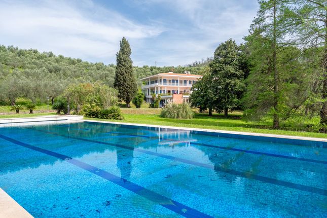 Thumbnail Villa for sale in Via Bertacca, Massarosa, Toscana