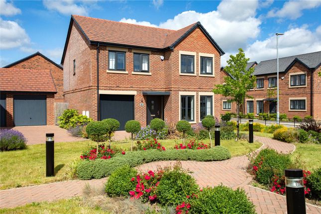 Thumbnail Detached house for sale in Burdon Place, Salters Lane, Sedgefield, Stockton-On-Tees