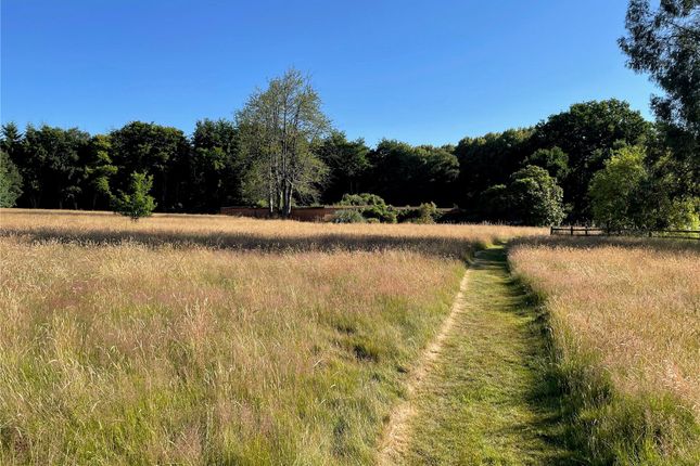 Meadowland