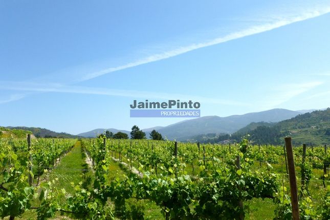 Farm for sale in Wine Estate, Green Wine, Winery And Tourist Accommodation, Grilo, Baião, Porto, Norte, Portugal