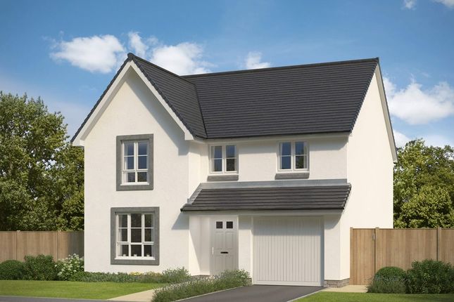 Thumbnail Detached house for sale in "Cullen" at Park Place, Newtonhill, Stonehaven