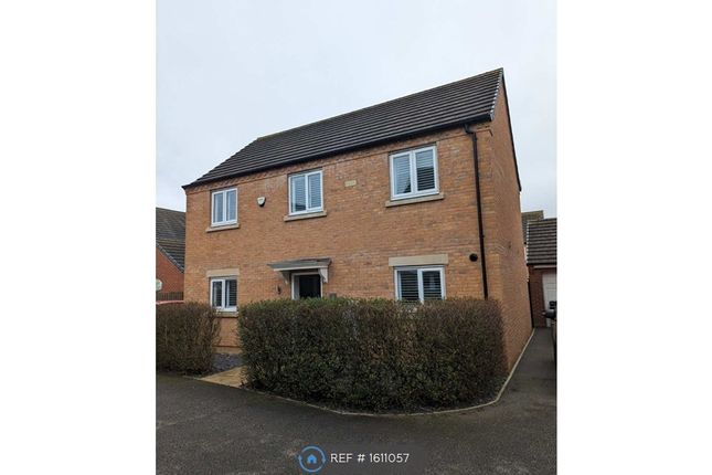 Thumbnail Detached house to rent in Libertas Drive, Peterborough