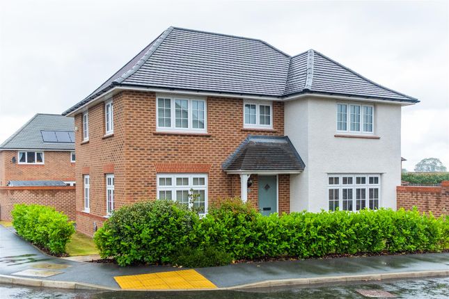 Front External