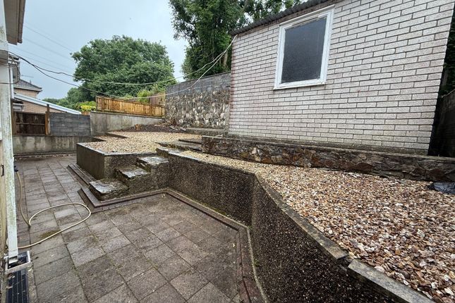 Back Garden