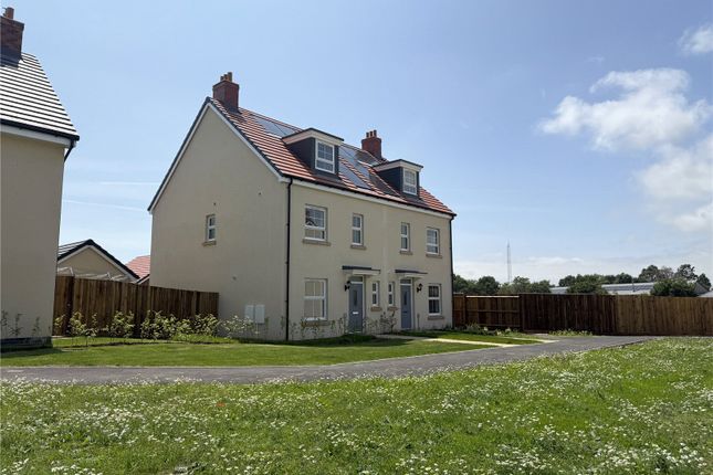 The Wiston