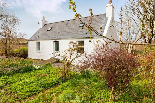 Thumbnail Bungalow for sale in Scourie, Lairg