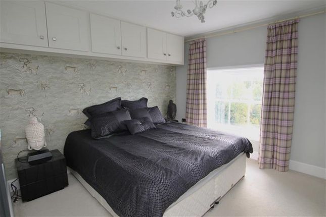 Raywell, Cottingham photo 4