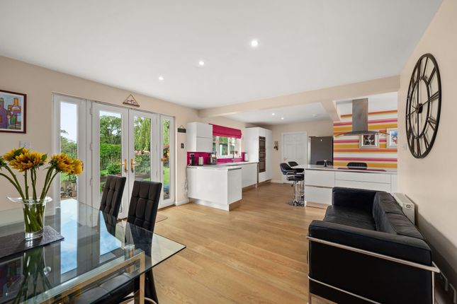 16 Elm Rise, Dundee photo 4