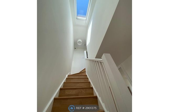 Lime Grove, Guildford photo 4