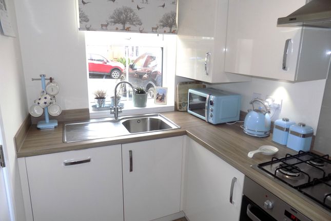 11, Barton Drive, Ashbourne photo 4