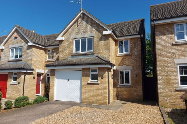 Thumbnail Detached house to rent in Randall Drive, Toddington, Dunstable