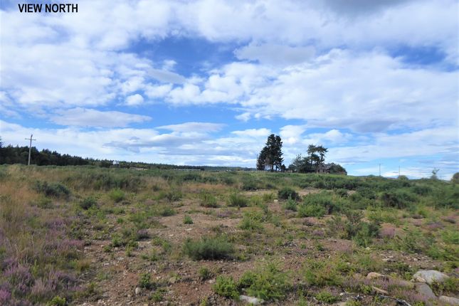 Land for sale in Cossack Wood, Craigellachie