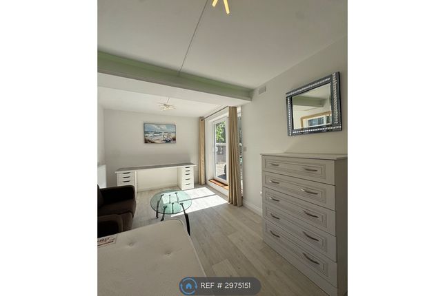 Studio Available Now  Pearson Park Apartments, Hull photo 4