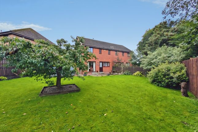 13, Mcphail Avenue, Motherwell photo 4