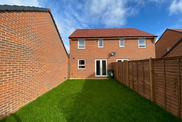 Semi-detached house to rent in Cranesbill Way, Kingbrook, Aylesbury