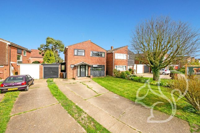 Thumbnail Detached house for sale in Pine Close, Great Bentley, Colchester