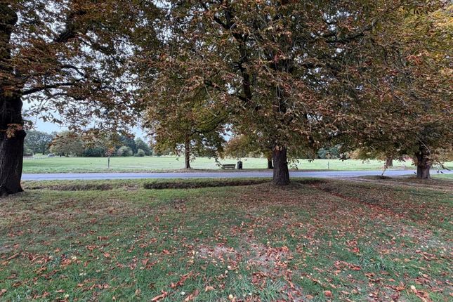 2, Bramley Road Sherfield-on-Loddon, Hook photo 3
