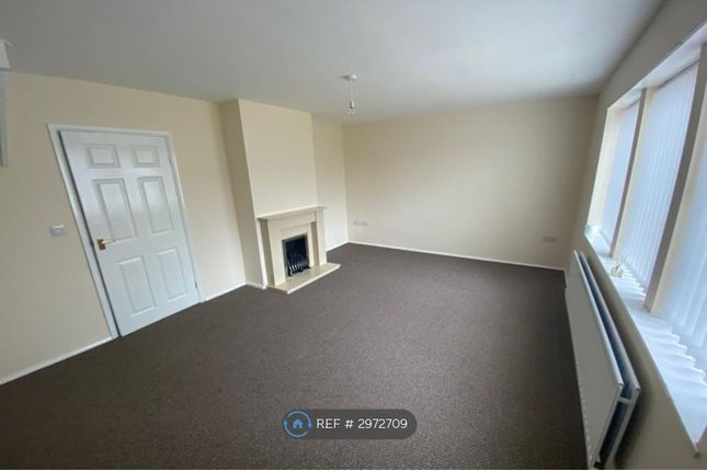 Penistone Road, Middlesbrough photo 3