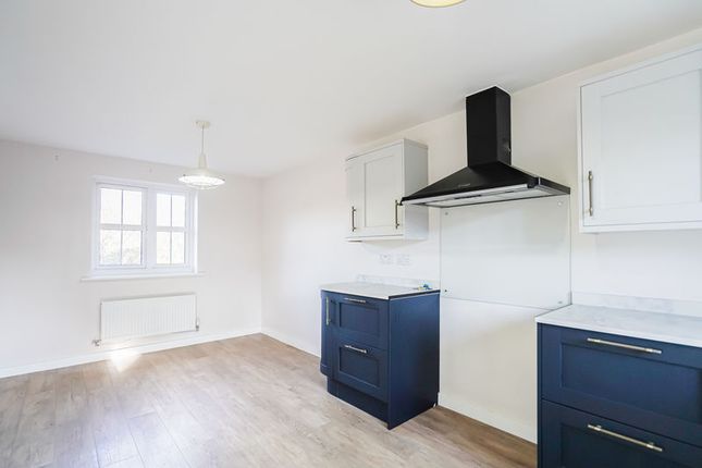 6, Primrose Avenue, Hereford photo 4