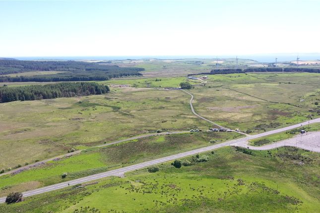 Thumbnail Land for sale in Carscreugh Farm, Glenluce, Wigtownshire