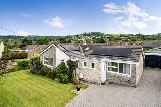 Thumbnail Detached bungalow for sale in Hollymoor Close, Beaminster, Dorset