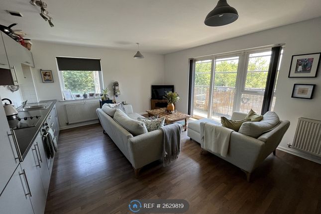 Living Room/Kitchen