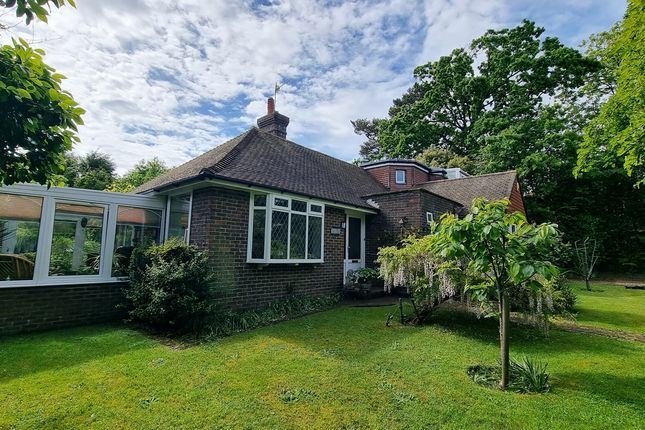 Thumbnail Detached bungalow for sale in Park Lane, Bexhill-On-Sea