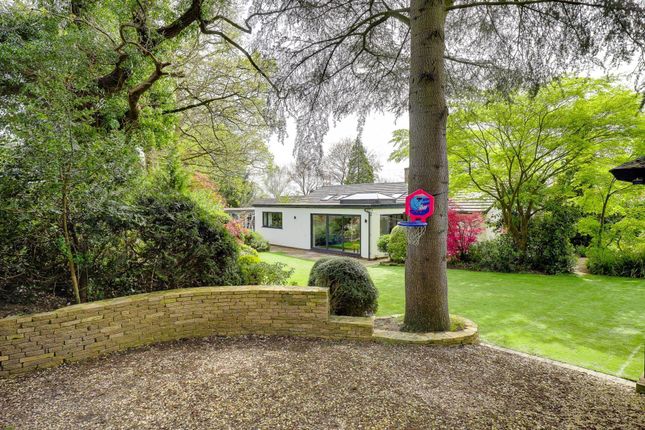 Detached bungalow for sale in Scholars Close, Caversham Heights