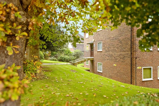 External Lifestyle Photograph