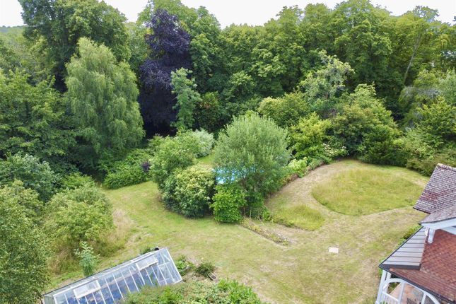 Normans Wood, Forewood Lane, Battle photo 4