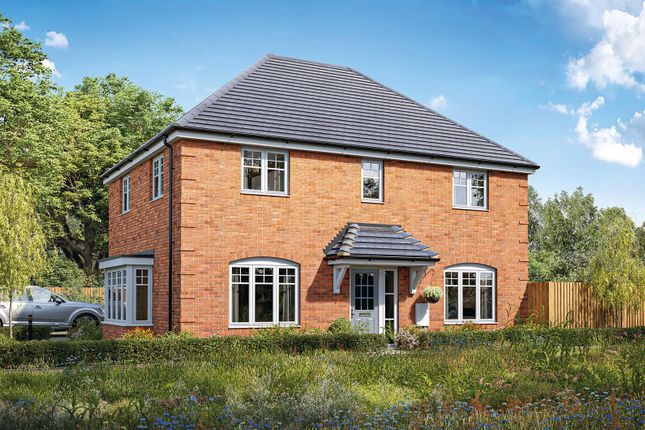 Kingston Plot 35.Jpg