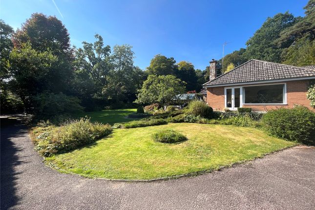 Thumbnail Bungalow for sale in West Hill, Ottery St. Mary, Devon