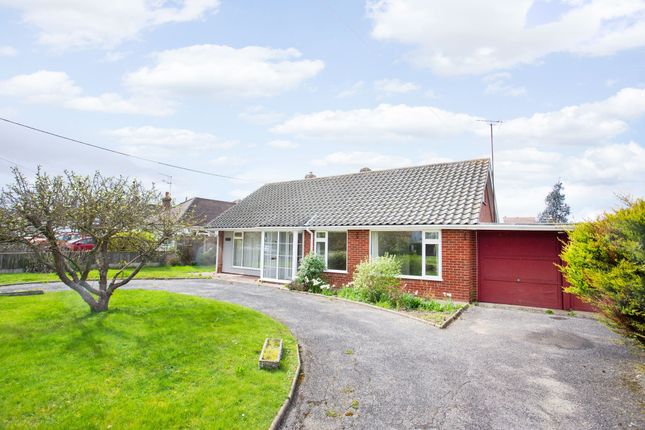 Thumbnail Detached bungalow for sale in Chestfield Road, Chestfield