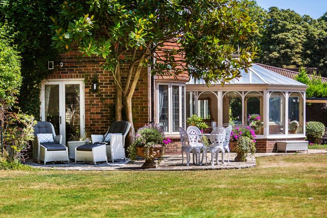 7a Silver Lane, Purley photo 4