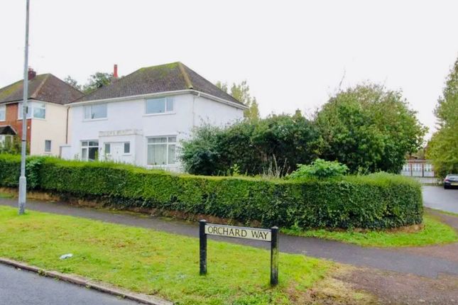 Whatsapp Image 2025-10-31 At 12.43.27 Pm.Jpeg