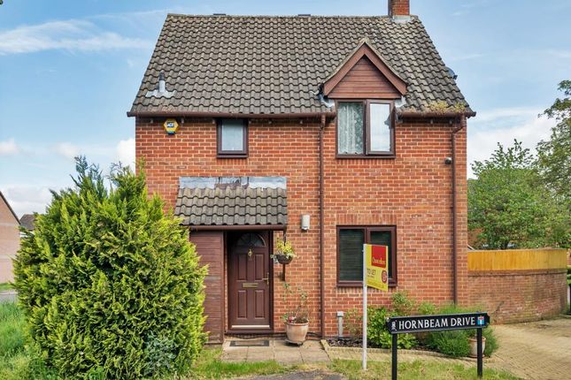 Detached house to rent in Hornbeam Drive, East Oxford