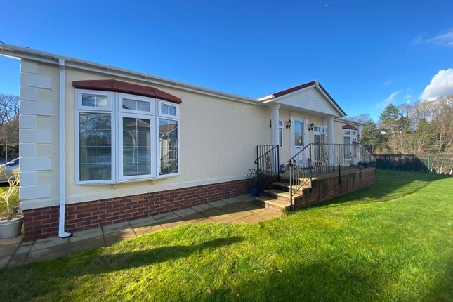 Bungalows for Sale in Bovey Tracey - Buy Bungalows in Bovey Tracey - Zoopla